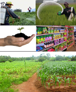 Fertilizer-Pesticide-Chemical-Manufacturer